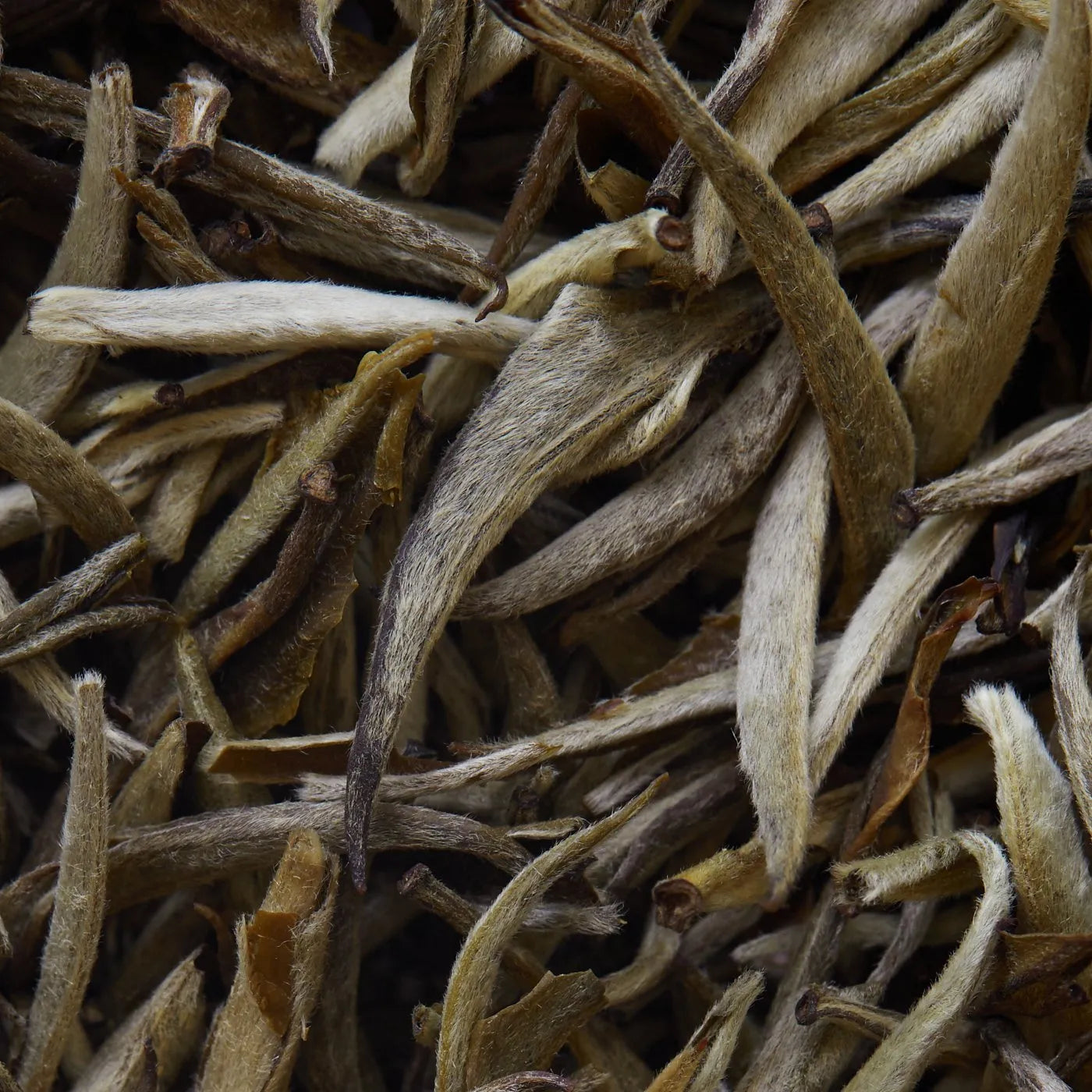 JASMIN IMPERIAL fehér tea - 50 g