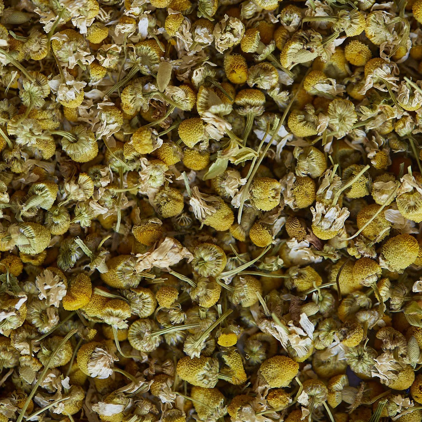 KAMILLA gyógytea - 50 g