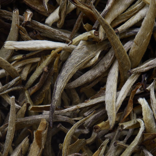JASMIN IMPERIAL fehér tea - 50 g